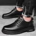 Leather Shoes 2025 Spring Autumn Men's Work Lace-up Trendy Business Simple Stylish Lightweight Casual_vogvips.com