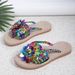 2024 Autumn Winter New Foreign Trade Plus Size Women's Versatile Thick-Soled Simple Elegant Beach Sandals Flower_vogvips.com