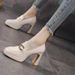 Square Toe High Heels Pumps For Women Elegant Ankle Strap Wedding Shoes Woman Metal Solid Color Thick Heeled Shoes_vogvips.com
