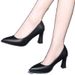 New Soft Non-Slip Single Work Women's Black Etiquette Professional Interview High Heels Mid-Heel Office Leather Shoes_vogvips.com