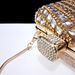 Fashion sexy women's shoe bag set lace mesh fabric ankle strap fringe rhinestone decoration_vogvips.com