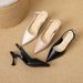 Hui Liya's New Summer Elegant High-heeled Shoes, French Style Stiletto Pointed Toe, Stunning Closed-toe Sandals In Nude_vogvips.com