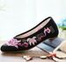 Sharp Pointed Single Spring And Summer Styles, One Foot Women's Shoes, Fashionable Embroidered Cloth Shoes_vogvips.com