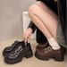 MTX Versatile Chunky Heel Thick Sole Petite Mary Jane Leather Shoes British Style Loafers For Women 2025 Autumn New_vogvips.com