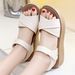 Women's Sandals For Mothers, Middle-aged And Elderly Summer New Non-slip Soft-soled Flat Shoes, Comfortable Casual Shoes_vogvips.com