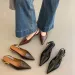 Summer Pointed Toe Women Sandals Fashion Singbacks Mules Shoes Ladies Elegant Low Heel Stripper Party Sandalias_vogvips.com