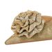 8238-H55 Chinese Style Women's Banquet High Slim Heels, Shallow Mouth, Pointed Toe, Side Hollowed Out Flower Patterned_vogvips.com