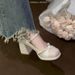 French Style Mary Jane High Heels Women, Elegant Comfortable, Suitable For Wedding Dress And Engagement, Chunky Heel_vogvips.com