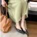 New Mule Shoes With French Pointed Fine Cat Heels Elegant Closed Toe Semi Slip Sandals Multifunctional Women's_vogvips.com