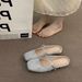 French Style High-End Silver Closed-Toe Mules Women's Shoes Outdoor Wear 2025 New Spring Summer Gentle Mary Jane Flats_vogvips.com