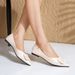 Lady Comfortable Soft Leather Microfiber Slip-On-Buckle Low Heels Pumps Pointy Toe Shoes 34-43 2025 Newest_vogvips.com