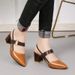 2024 Spring/Summer New Shoes: Pointed Toe Chunky Heel Closed-Toe Shoes, Mid-Heel Buckle High Heels, Hollow-Out Women's_vogvips.com