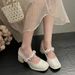 Mary Jane Summer 2025 New Style With Skirt Coarse Heels Non Tiring Foot Temperament Women's Single Shoes_vogvips.com