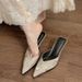 New Slimming Pointed Toe Stiletto V-Cut Mules High Heels Elegant Closed-Toe Half Slippers For Women Outdoor Wear_vogvips.com