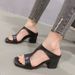 Women's Roman Sandals Style Summer All-match Outwear Internet-famous Square Toe Open Toe One-character Thick Heel High Heel Sandals_vogvips.com