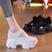 Mary Jane Shoes Women's Single Shoes Round Head Platform Small Leather Shoes High Heel Shallow Mouth Muffin Shoes_vogvips.com