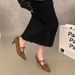 Niche Pointed Toe Leopard Print Mary Jane Shoes For Women 2025 New French Style Low Heel Suede Commuter Loafers_vogvips.com
