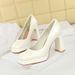 9985 New Waterproof Platform Square-Toed Ultra-High-Heel Women's European American Style Shallow Thick-Heeled Single_vogvips.com