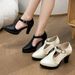 plus Size Retro Style Women's High Heels Pointed Toe Chunky Heel Hollowed Out Professional Single Shoes_vogvips.com