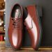 TerraStride Business Formal Genuine Leather Breathable Professional Non-Slip Wear-Resistant Soft Cowhide Shoes Men's Spring Model_vogvips.com