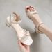 Sandals Female Versatile Student Medium Heel Thick Heel One-word Buckle Fairy Style Skirt Shoes_vogvips.com