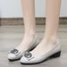 Low Cut Chunky Heel Women's Work Shoes Spring New Style Fashionable Mother Shoes Comfortable Design for Professional Settings_vogvips.com