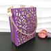 Women's pointed shoe bag simple hollow design thin with ankle chain chain dinner party commuting wear_vogvips.com