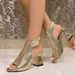 European And American Style Open-Toe For Women 2025 New Model Export Large Size High Heels Chunky Heel Fashionable_vogvips.com