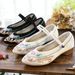 Embroidered Hanfu Forest Women's Shoes, Square Dance Shoes_vogvips.com