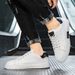 Men's Shoes Spring New Men's Shoes, White Shoes, Casual Leather Shoes, Men's Shoes Wholesale, Driving Shoes, Men's Trendy Shoes_vogvips.com