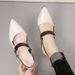 2026 Spring/Summer New Shoes: Pointed Toe Chunky Heel Closed-Toe Shoes, Mid-Heel Buckle High Heels, Hollow-Out Women's_vogvips.com