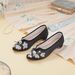 Women’s Shoes Summer New Embroidered Shoes For Women Old Cloth Shoes Ethnic Style Low Heels Style Cheongsam Shoes Retro Pointed Shoes_vogvips.com