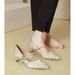 Pointed Toe High Heels Stiletto 2025 New Huizhou Women's Shoes One Strap Mary Jane Shoes Soft Belt Heel French Style Single Shoes_vogvips.com