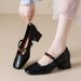 French-style Square-toed Soft Comfortable Women's With Chunky Heels, 2026 Spring Vintage Mary Jane Shoes, Extremely_vogvips.com