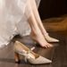 Bow High C735-1 Champagne Heels New Adult Ceremony French Style Chunky Heel Pointed Toe Evening Shoes Size 32- 32-_vogvips.com