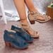 Wholesale 2026 Foreign Trade Summer Women's High-heeled Sandals Cross-border Large Size Fish Mouth Thick Heel Outer Wear Hollow High-heeled Sandals_vogvips.com