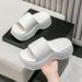 Thick-Soled Slippers For Women, Summer New Style, Ultra-Comfortable, Non-Slip, Wear-Resistant, Height-Increasing, Fashionable Outdoor For Women, Home Slippers_vogvips.com