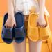 Qida Shun New Home Slippers For Women Summer Non-Slip Soft Cushioning Home Sandals Couples Bathroom Slippers Wholesale_vogvips.com