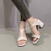 Women's Roman Sandals Style Summer All-match Outwear Internet-famous Square Toe Open Toe One-character Thick Heel High Heel Sandals_vogvips.com
