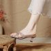 Women's French Style High Heeled Sandals Square Toe Open Toe Stiletto Heel Fashionable Outdoor Wear Summer 2025 New Style_vogvips.com