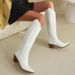 2023 Autumn Winter European And American Cross-Border 34-46 Large Size Western Cowboy Embroidered High Heel Pointed Toe_vogvips.com