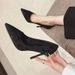 High Pointed Toe 2025 New Spring And Autumn All-match Sexy Thin Heels Shallow Mouth Single Black Work Shoes Women_vogvips.com