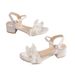 Korean-style Plus-size 2026 Summer New Lace Chunky Heel Open-toe Strap High-heeled Sandals Cross-border Women's Shoes_vogvips.com