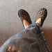 Mesh Ballet Flats - Rhinestone Embellished & Breathable (Women's Low Heel Shoes, Fashionable, Versatile For Summer)_vogvips.com