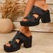 Women's Chunky Heel Open Toe Sandals New European American Style Plus Size Summer_vogvips.com
