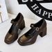9613-1 Wind Thick High Heel Waterproof Platform Square Head Shallow Mouth Buckle Straight Belt Single Shoes Female_vogvips.com