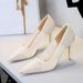 Women's Elegant Lace High Heels Pointed Toe Stiletto Pumps For Evening Party & Special Occasions - Sizes 34-43 Mesh Stiletto High Heels Single Shoes_vogvips.com