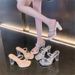 Women's High-heeled Shoes For Outdoor Wear, 2025 Summer New Model, Transparent Sandals With A Single Strap, Chunky_vogvips.com