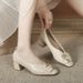 2025 Spring And Autumn New Mid Season Single Order Women's Coarse Heel Square Head Grandma Shoes_vogvips.com