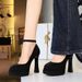 8322 European And American Style Shallow Round Toe Ultra High Heels Chunky Heel Solid Color Single Double Layer_vogvips.com